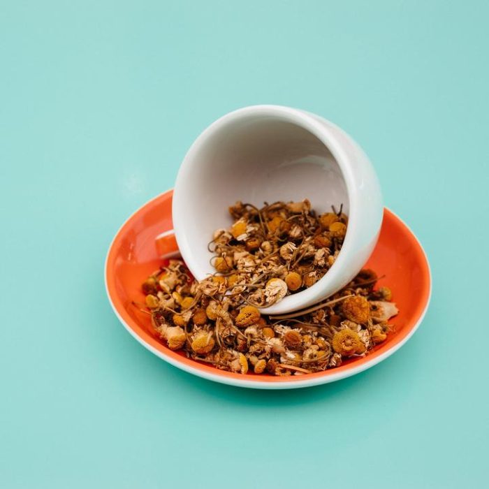 Egyptian Chamomile