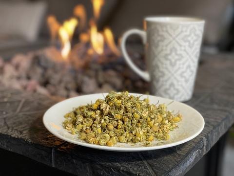 Egyptian Chamomile